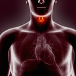 Manage thyroid online Manage thyroid online
