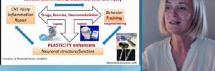 New Perspectives in Neurorehabilitation - Letizia Leocani